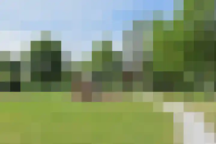 Meersingel 16 Pijnacker thumbnail 22