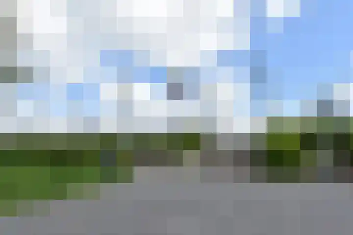 Meersingel 16 Pijnacker thumbnail 23