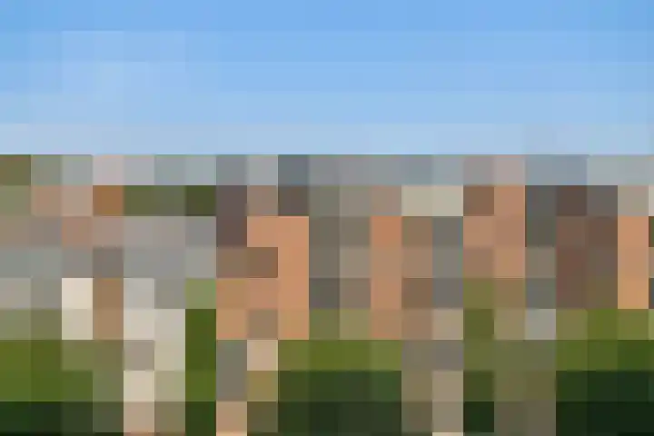 Meerstraat 30 Beverwijk thumbnail 23