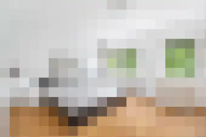 Meerval 16 Amersfoort thumbnail 15