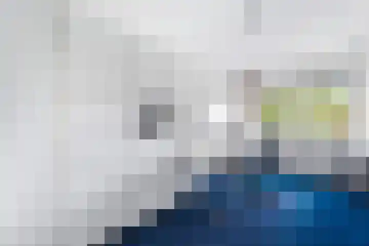 Meerval 16 Amersfoort thumbnail 19