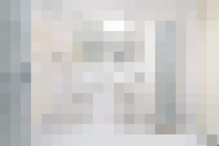 Meerval 16 Amersfoort thumbnail 22