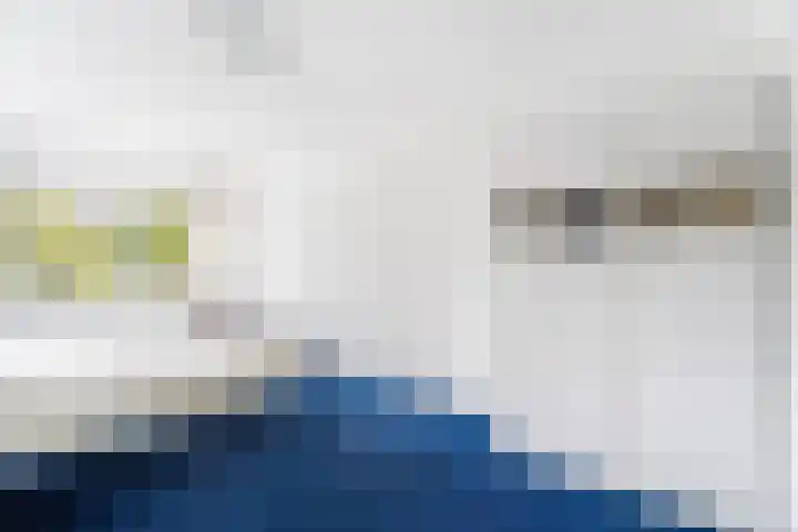 Meerval 16 Amersfoort thumbnail 23