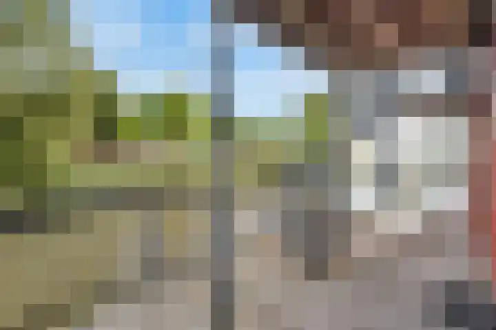 Meerval 16 Amersfoort thumbnail 27