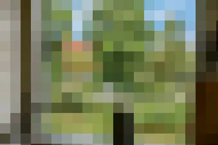 Meerval 16 Amersfoort thumbnail 29