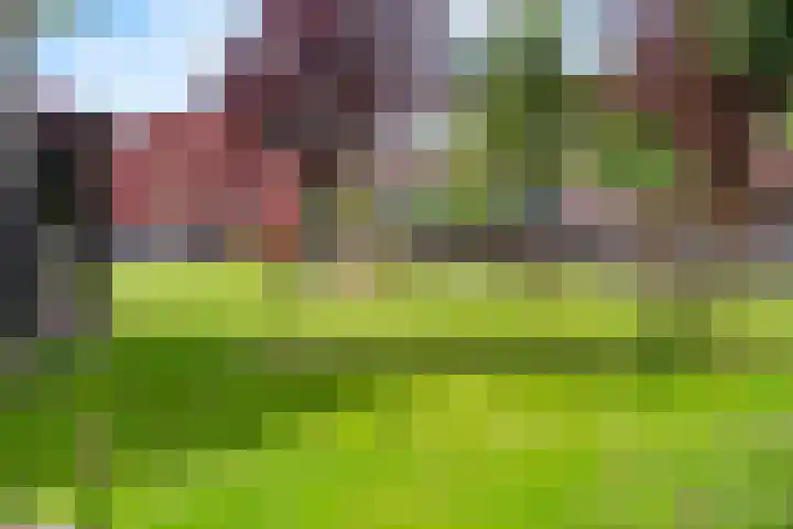 Meerval 16 Amersfoort thumbnail 32