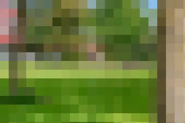 Meerval 16 Amersfoort thumbnail 33