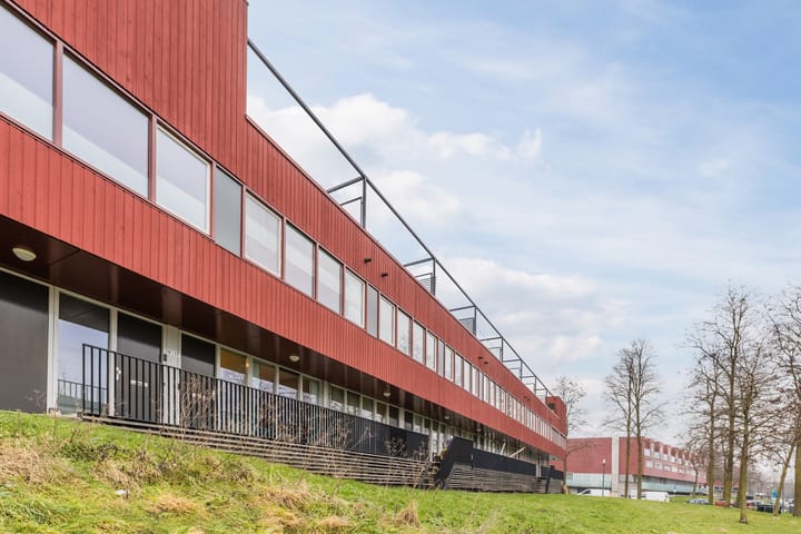 Meerval 17 in Amersfoort foto