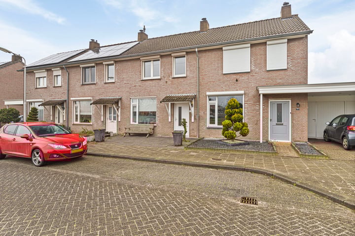 Meerval 47 in Oss foto