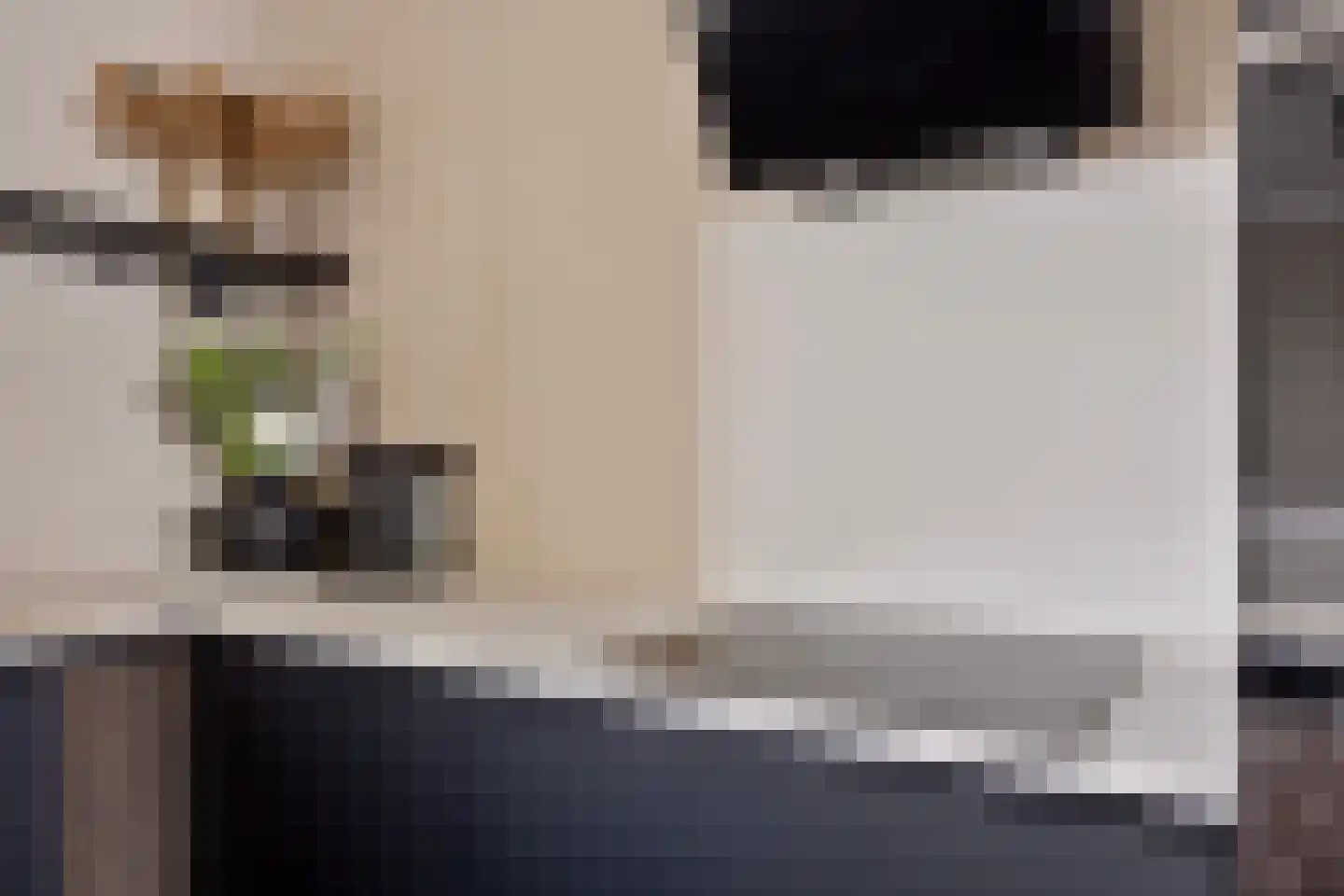 Meerval 47 Oss thumbnail 10