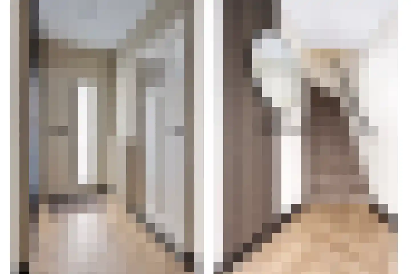 Meerval 47 Oss thumbnail 12