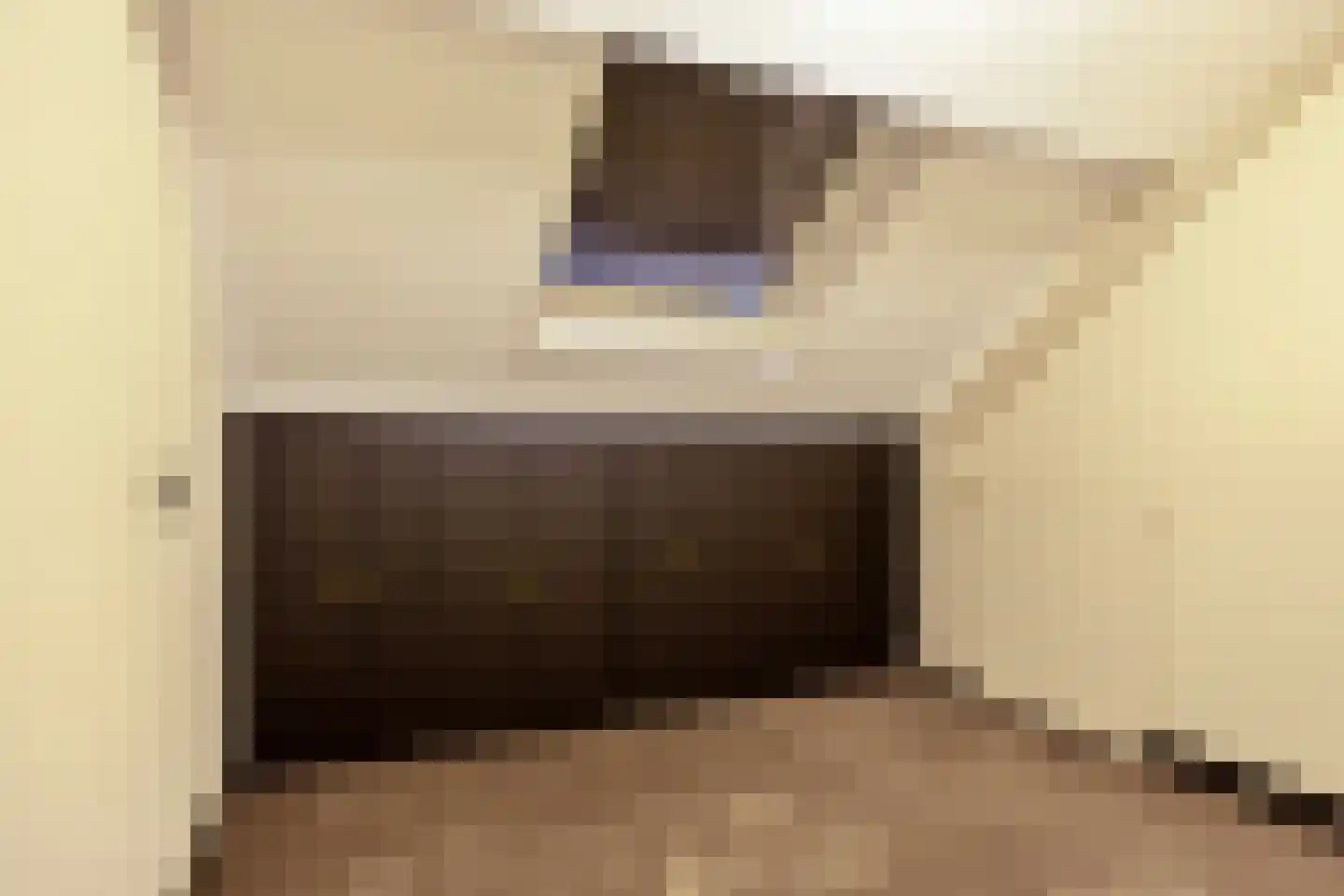 Meerval 47 Oss thumbnail 16