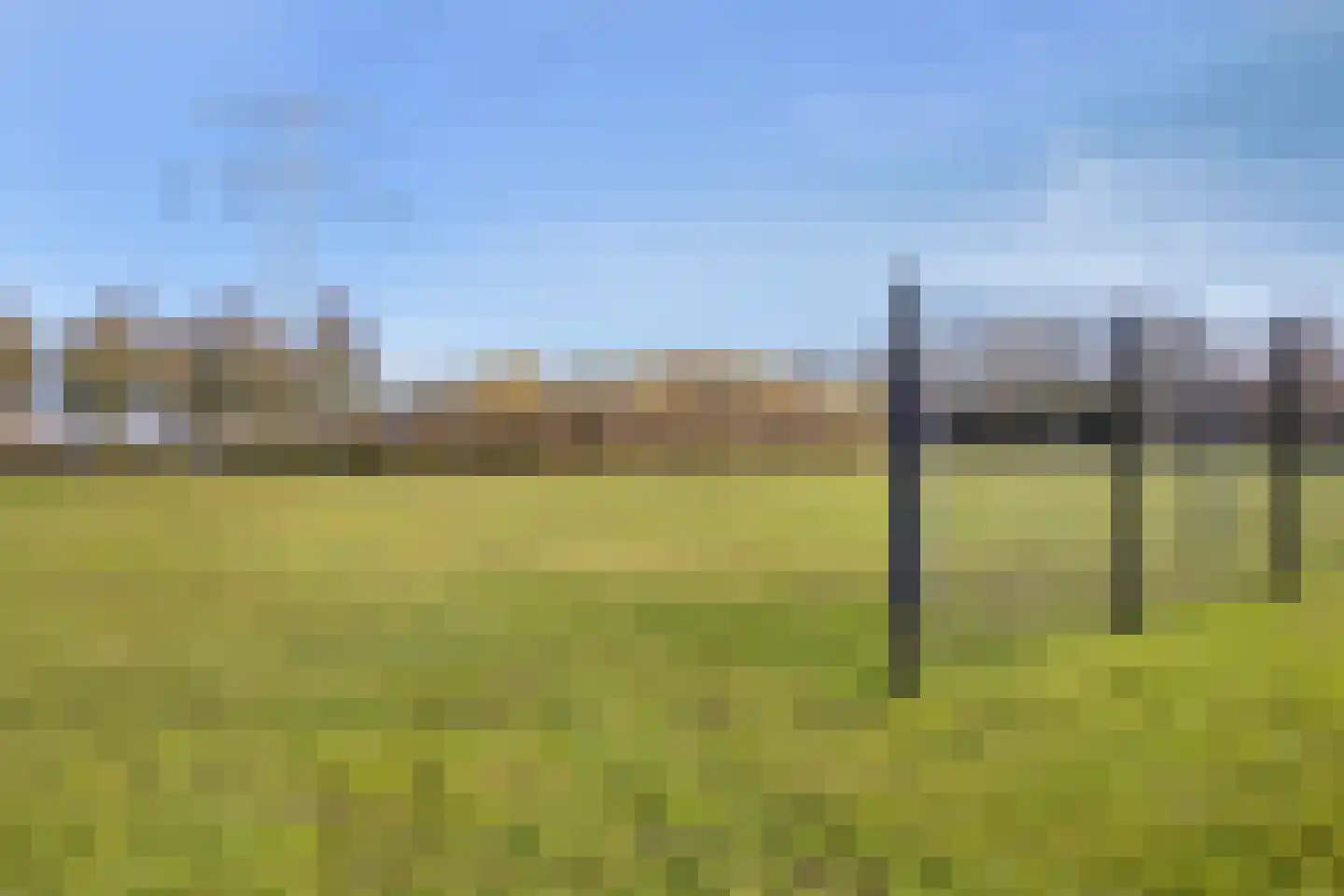 Meerval 47 Oss thumbnail 25