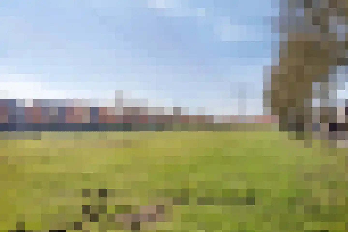 Meerval 47 Oss thumbnail 26