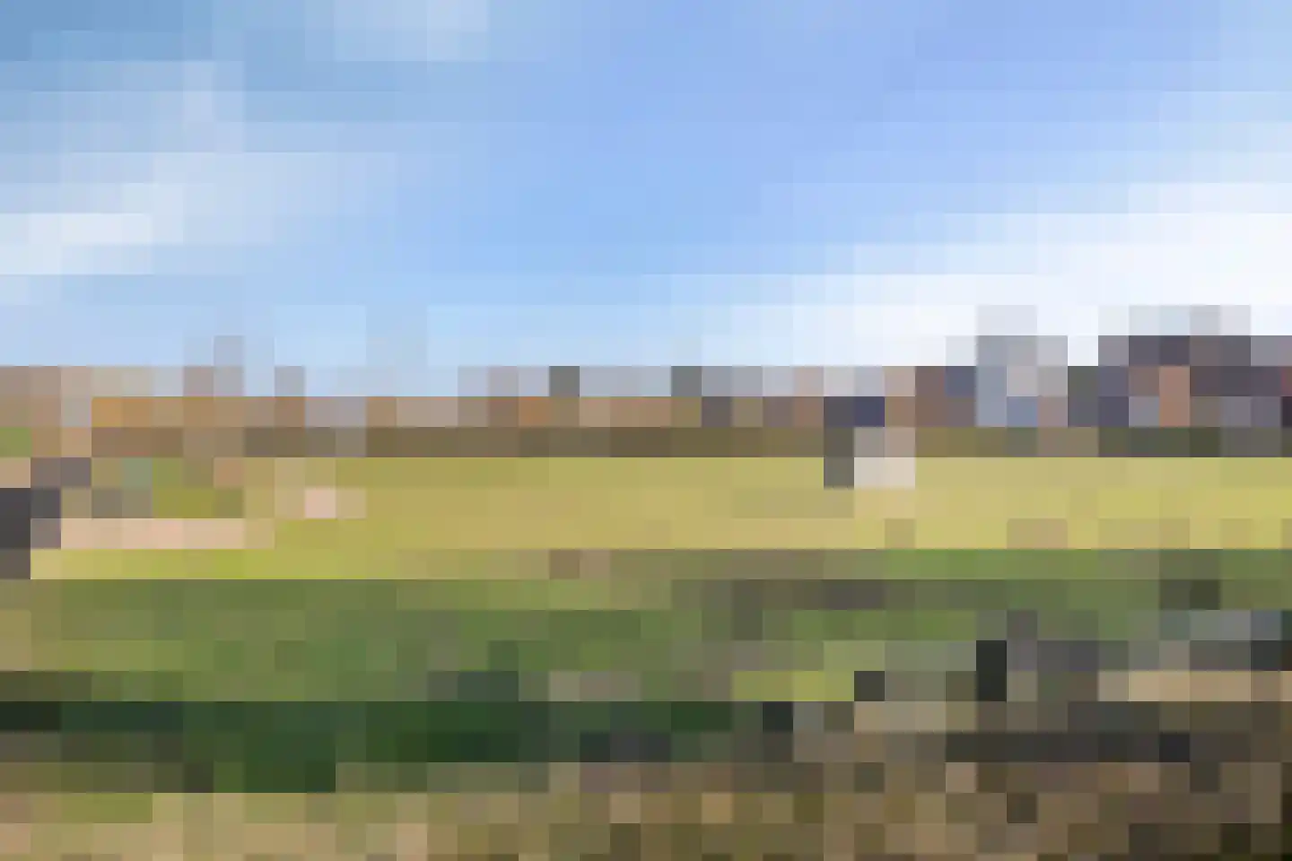 Meerval 47 Oss thumbnail 27
