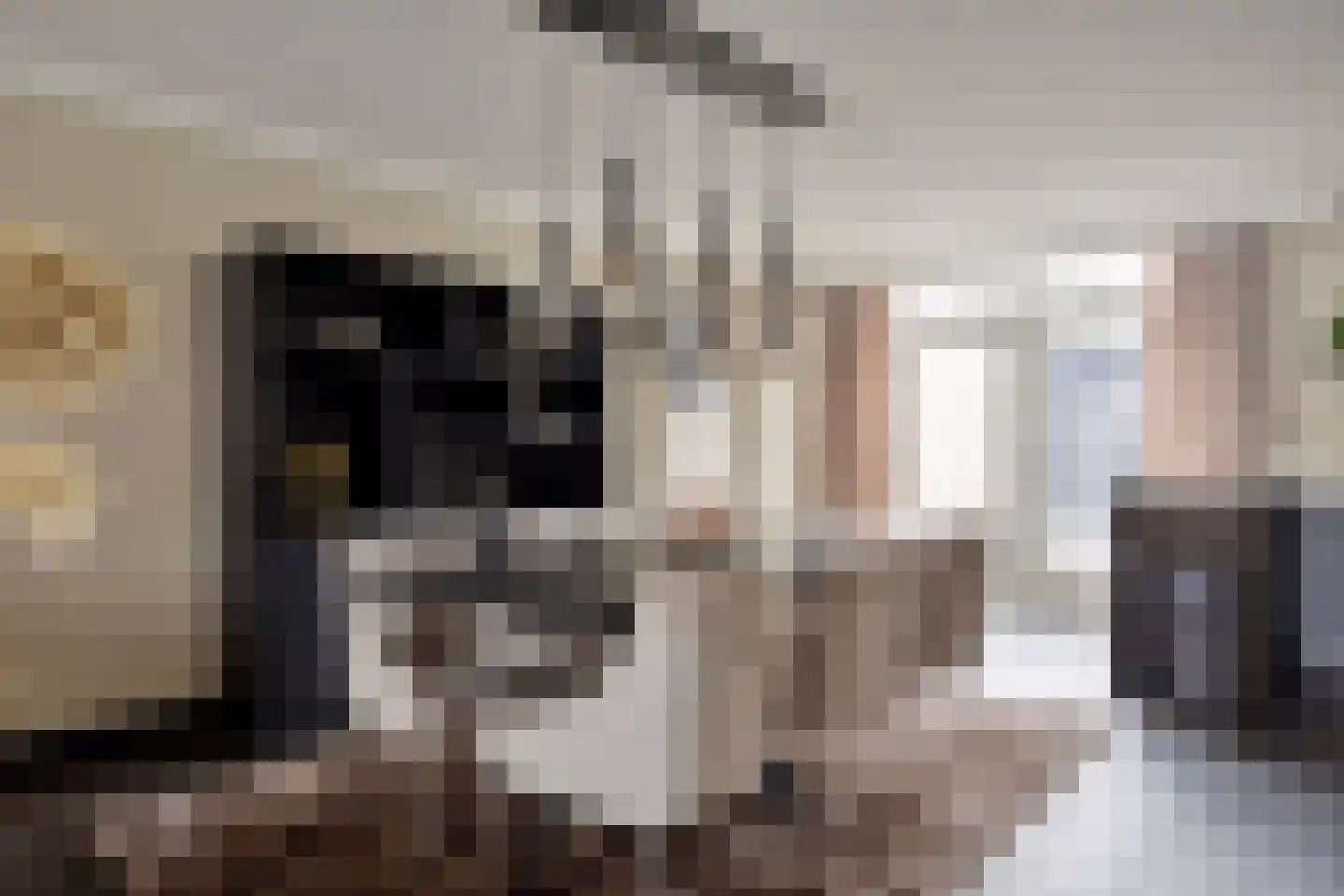 Meerval 47 Oss thumbnail 8