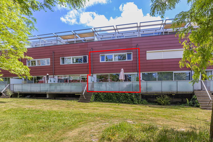 Meerval 62 in Amersfoort foto