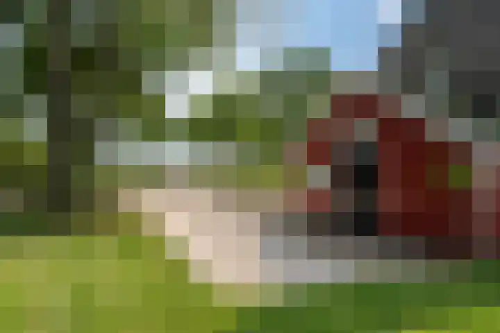Meerweg 4 Allingawier thumbnail 10