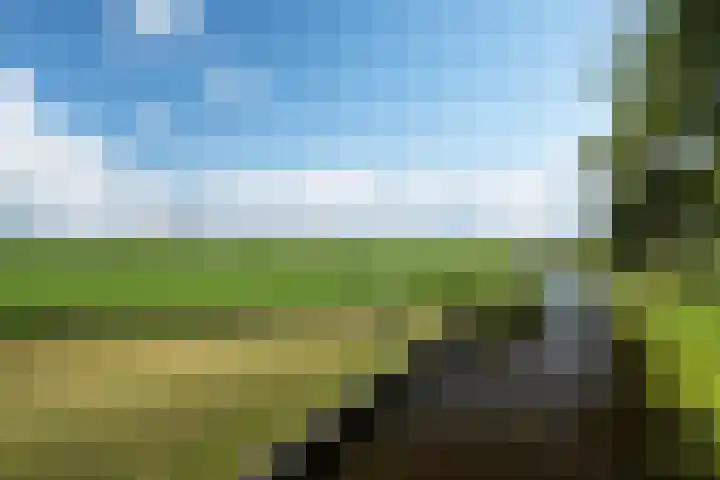 Meerweg 4 Allingawier thumbnail 13