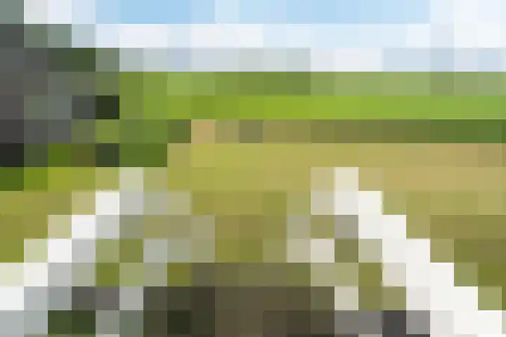Meerweg 4 Allingawier thumbnail 14