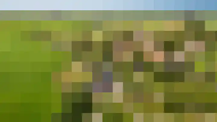 Meerweg 4 Allingawier thumbnail 15