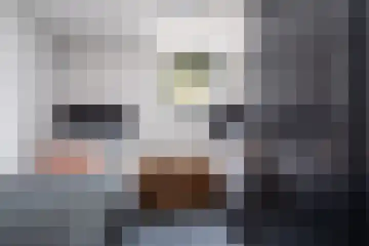 Meerweg 4 Allingawier thumbnail 27