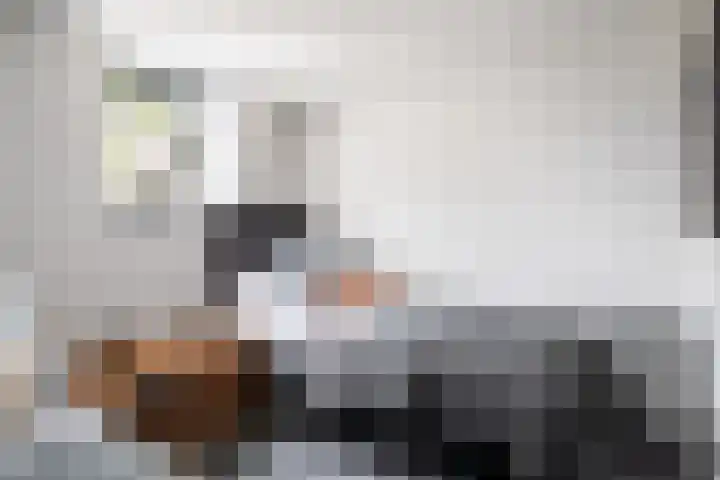 Meerweg 4 Allingawier thumbnail 28