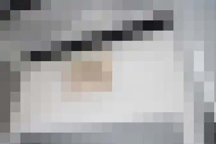 Meerweg 4 Allingawier thumbnail 30