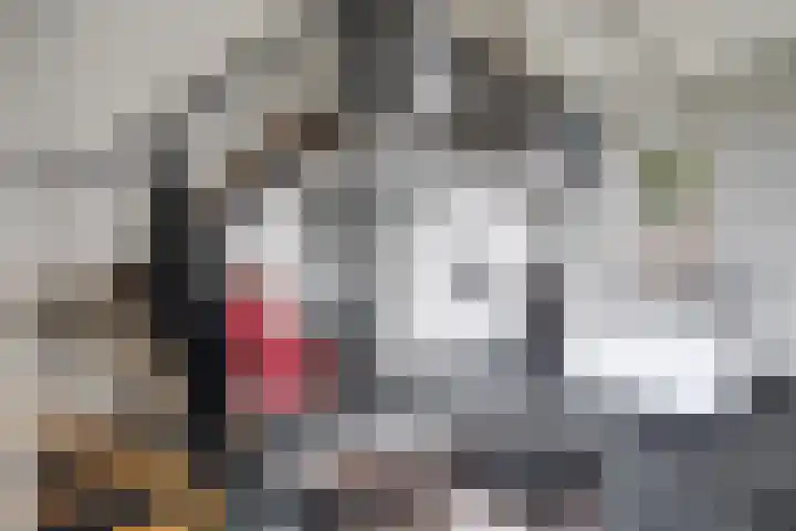 Meerweg 4 Allingawier thumbnail 36