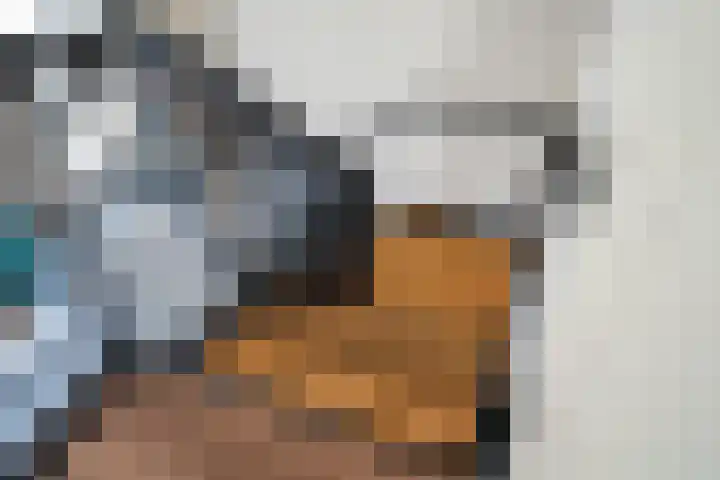 Meerweg 4 Allingawier thumbnail 45