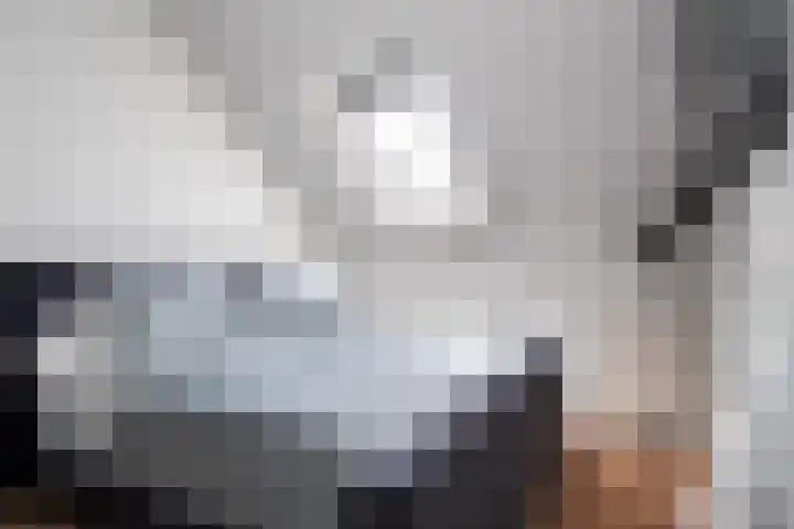 Meerweg 4 Allingawier thumbnail 50