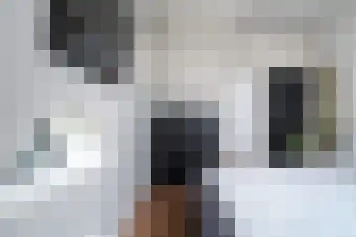 Meerweg 4 Allingawier thumbnail 51
