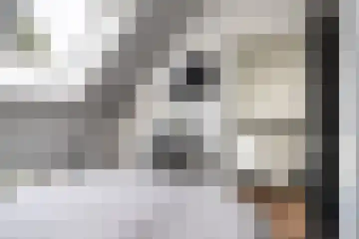 Meerweg 4 Allingawier thumbnail 53
