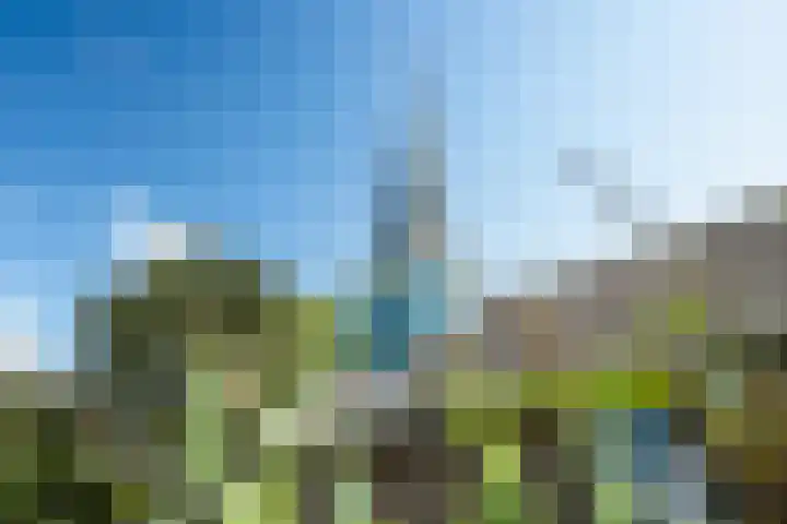 Meerweg 4 Allingawier thumbnail 54