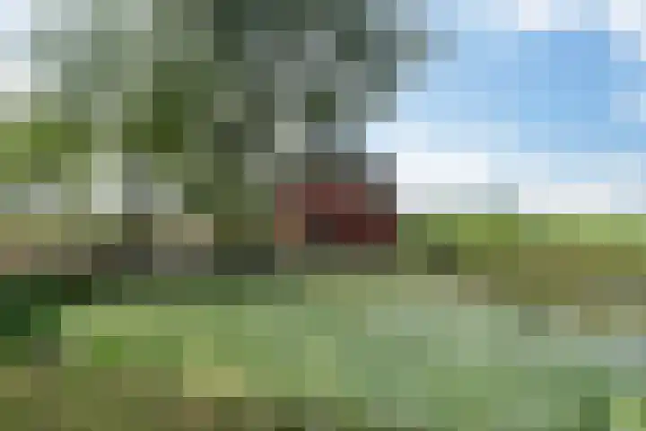 Meerweg 4 Allingawier thumbnail 55