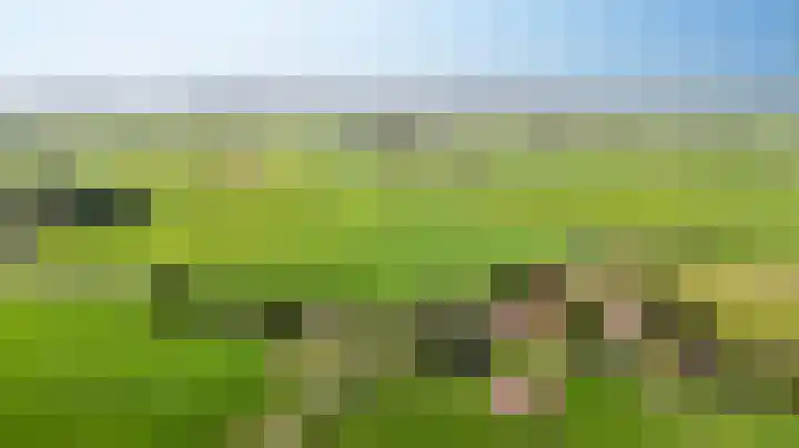 Meerweg 4 Allingawier thumbnail 56