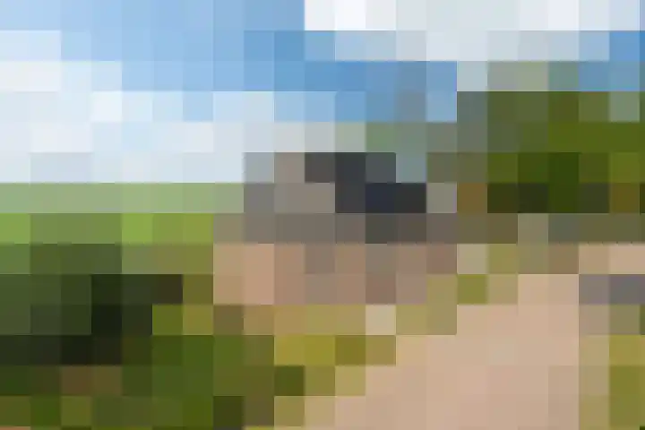 Meerweg 4 Allingawier thumbnail 6