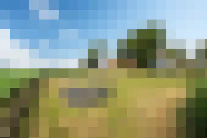 Meerweg 4 Allingawier thumbnail 63