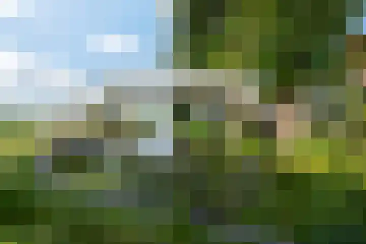 Meerweg 4 Allingawier thumbnail 66