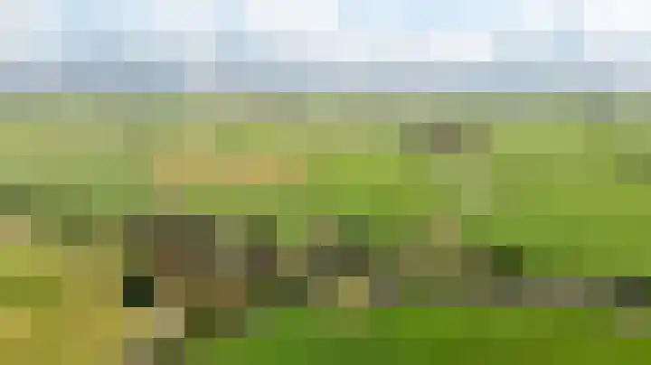 Meerweg 4 Allingawier thumbnail 68