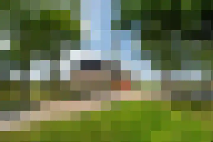 Meerweg 4 Allingawier thumbnail 8
