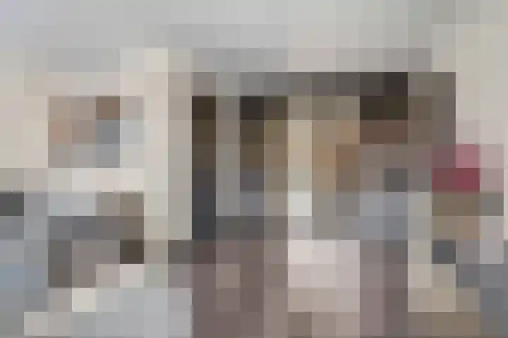 Meester A Datemalaan 12 Kesteren thumbnail 11