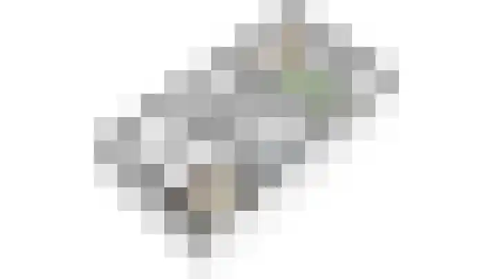 Meester A Datemalaan 12 Kesteren thumbnail 58