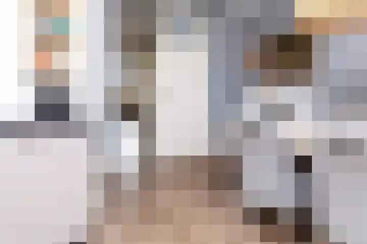 Meester A Datemalaan 3 Kesteren thumbnail 18