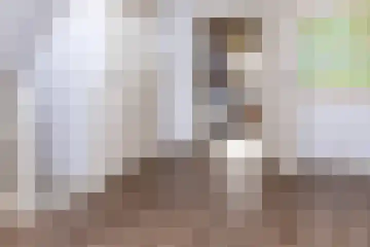Meester A Datemalaan 3 Kesteren thumbnail 33