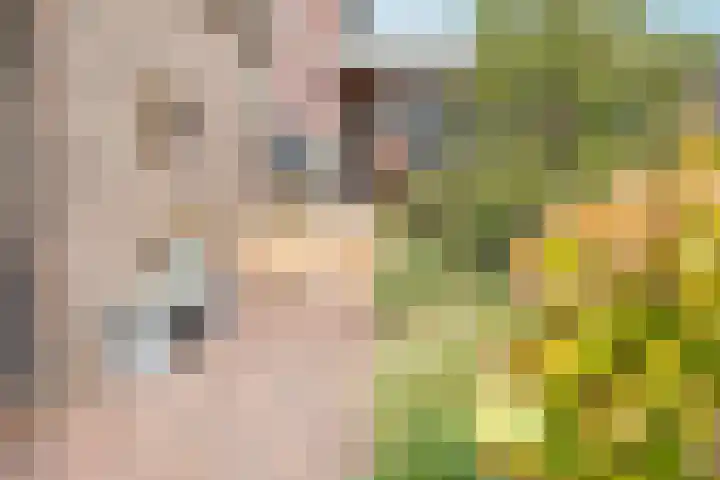Meester A Datemalaan 3 Kesteren thumbnail 37