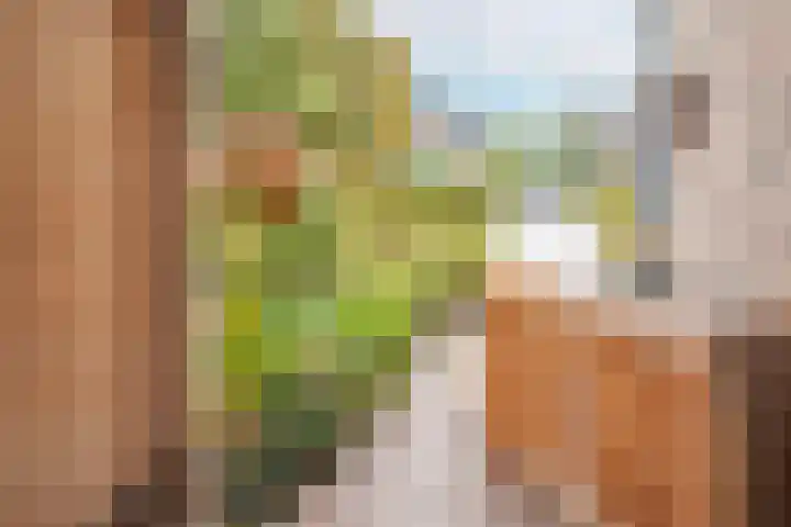 Meester A Datemalaan 3 Kesteren thumbnail 38