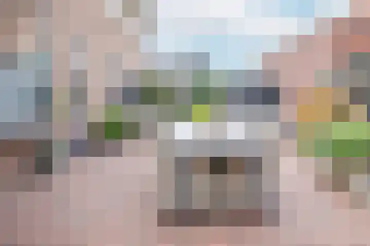 Meester A Datemalaan 3 Kesteren thumbnail 41