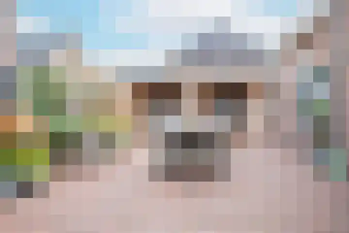 Meester A Datemalaan 3 Kesteren thumbnail 85