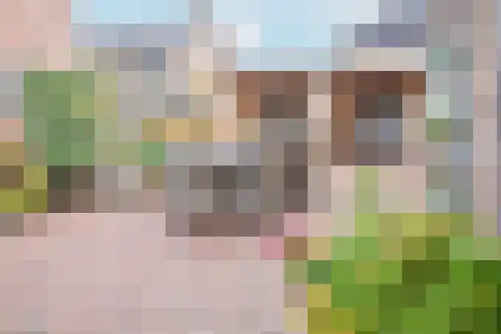 Meester A Datemalaan 3 Kesteren thumbnail 86
